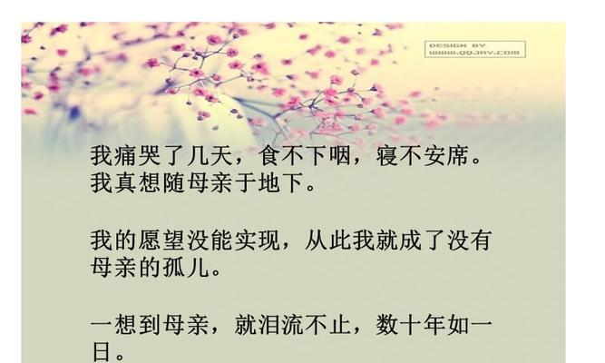 母亲的爱（那份怀念）
