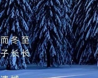阳光如春，美好如画（阳光如春，美好如画）