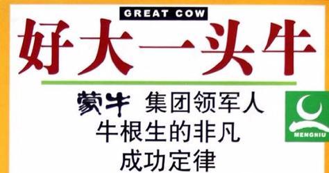 一个不凡的少年的奋斗史（一个不凡的少年的奋斗史）