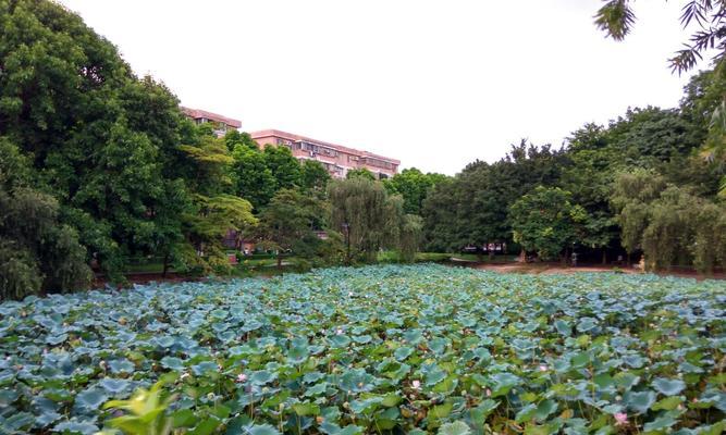 熏陶我青春的美景（那些美丽的风景，融入了我的成长）