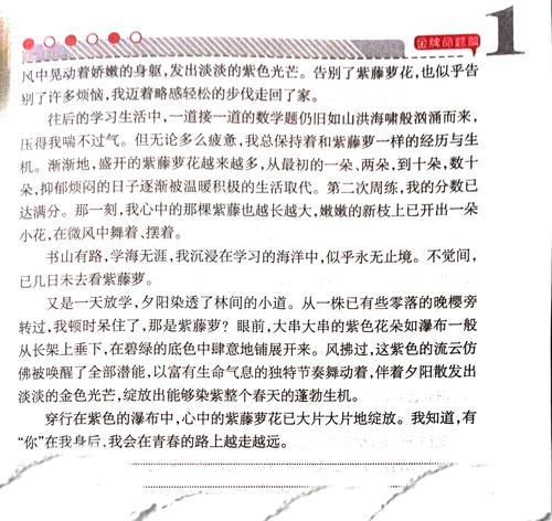 小猫和它的三种不同性格（探究人性本质的启示）