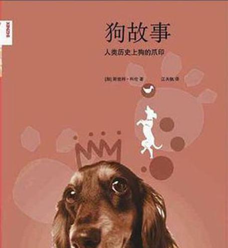 小我和小狗的友情