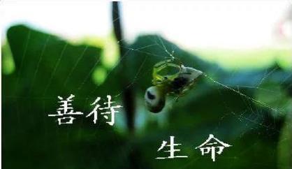 爱与珍惜；（爱与珍惜；）