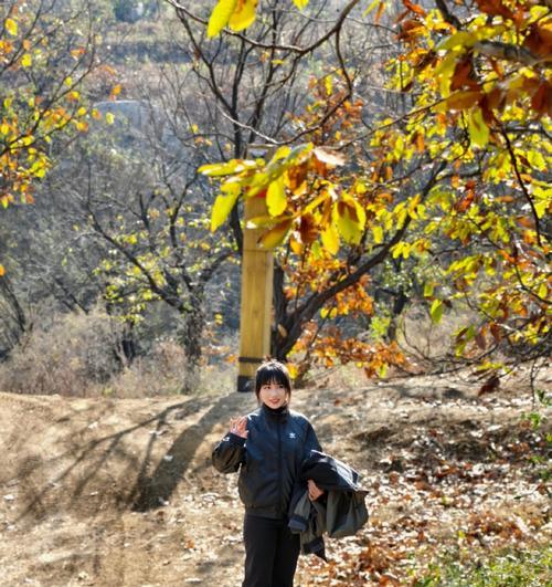 秋日山间小伙伴的冒险之旅（和小伙伴一起玩耍、探险、感受秋天）