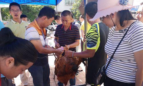 一份爱的奉献（爱心传递温暖）