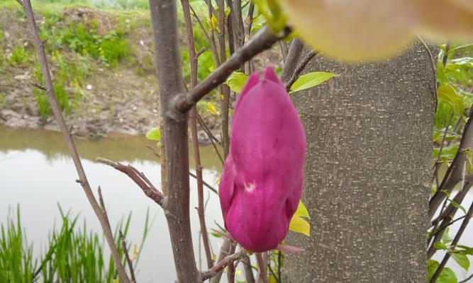 一路陪伴（一路书香）