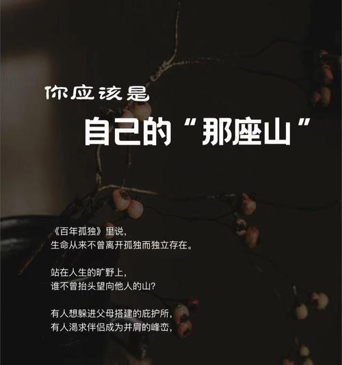 一生留痕（一个不曾离去的人物）