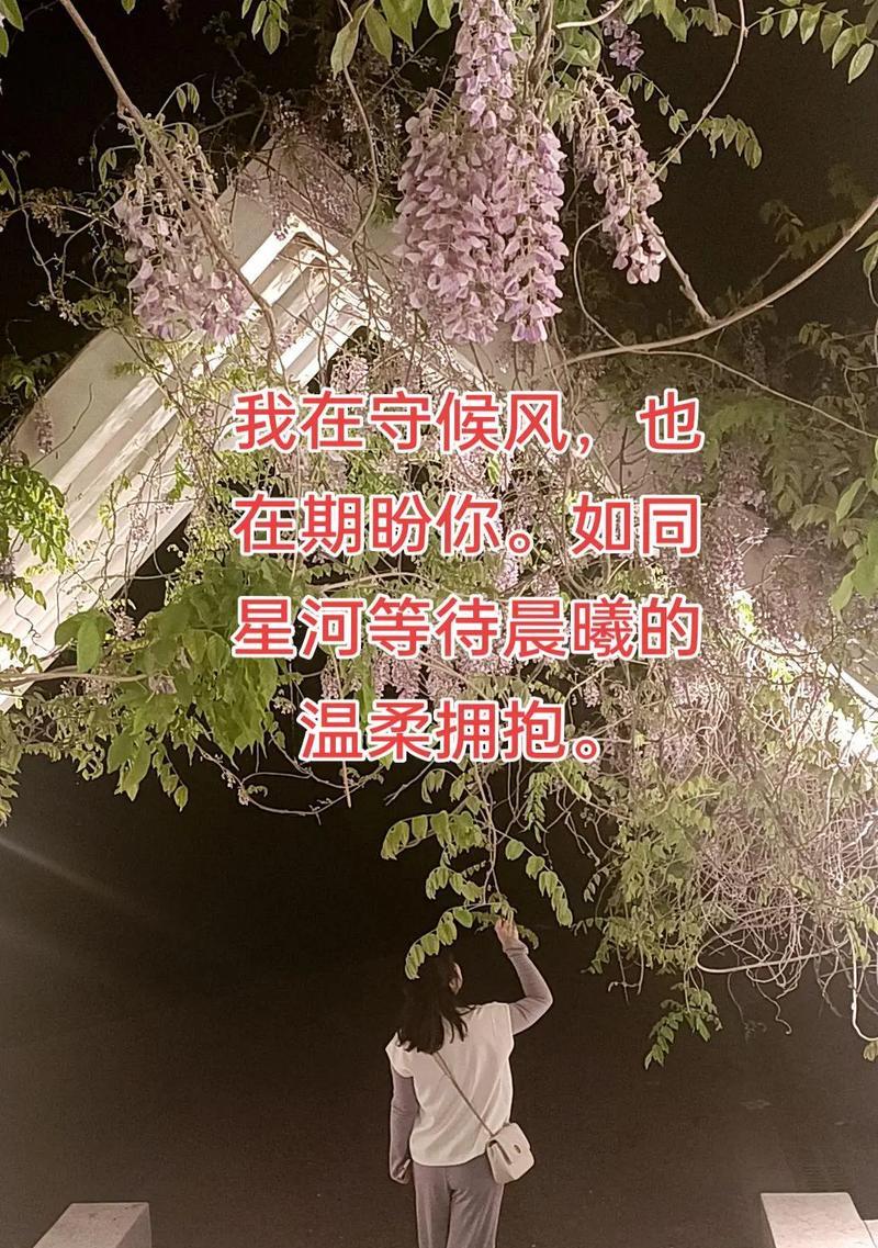 回眸定生缘（相识于一瞬间）