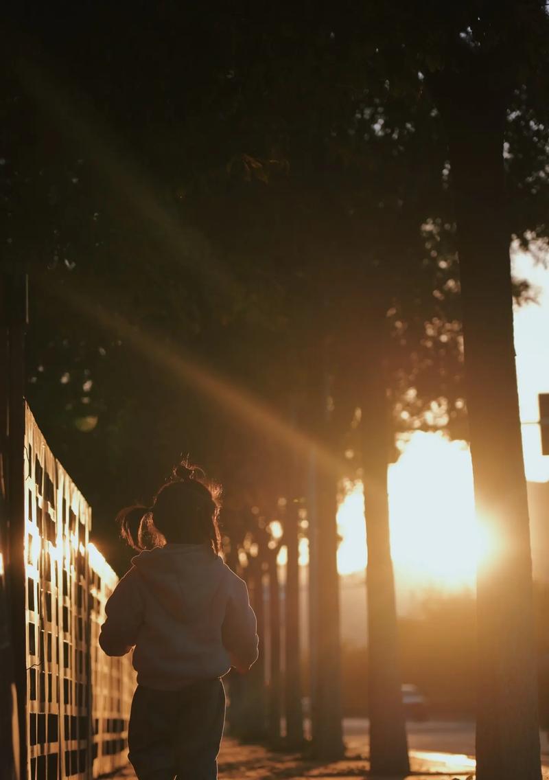 夕阳下的约定（友情和爱情交织，绽放在金色时光中）