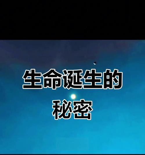 生命的摇篮（一场生死之间的抉择）