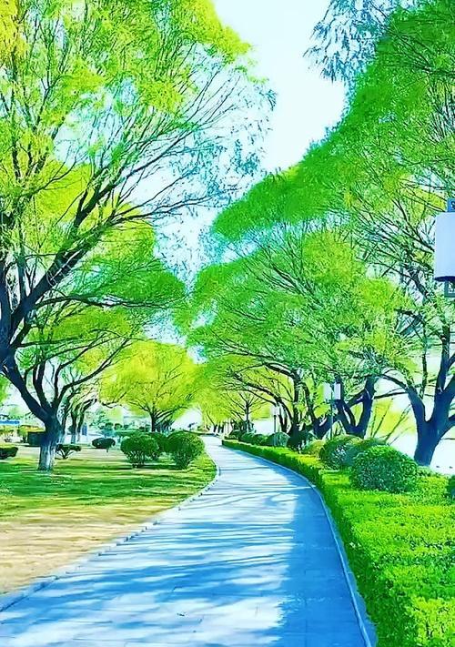寻觅美景的旅程（追逐自然之美的探险记）