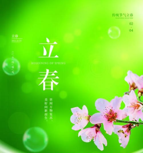 春天的礼物（以迎春花开）
