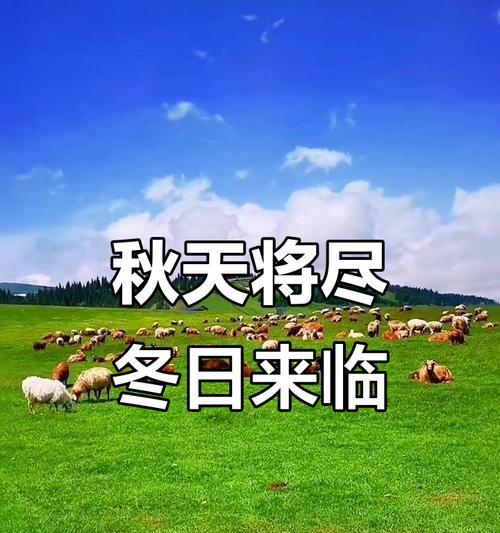 寒冬将至，大雪纷飞（雪中留下的回忆）