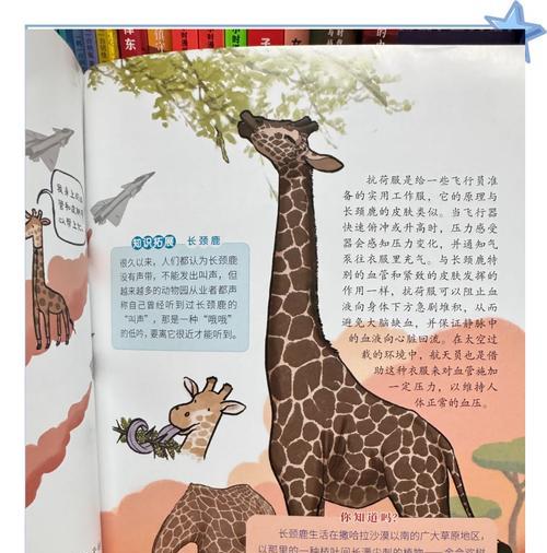 用实际行动彰显人生真谛（用实际行动彰显人生真谛）
