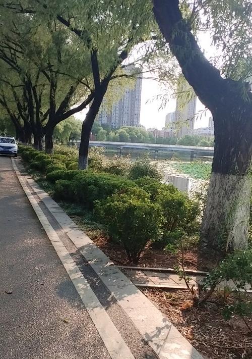 家园，永远的依靠（从此，有了心灵的归属）