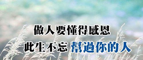 《感恩的力量》（一个小男孩的成长历程）