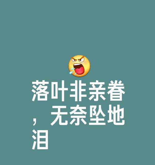 轮回之旅（以落叶在轮回，生命也在轮回）