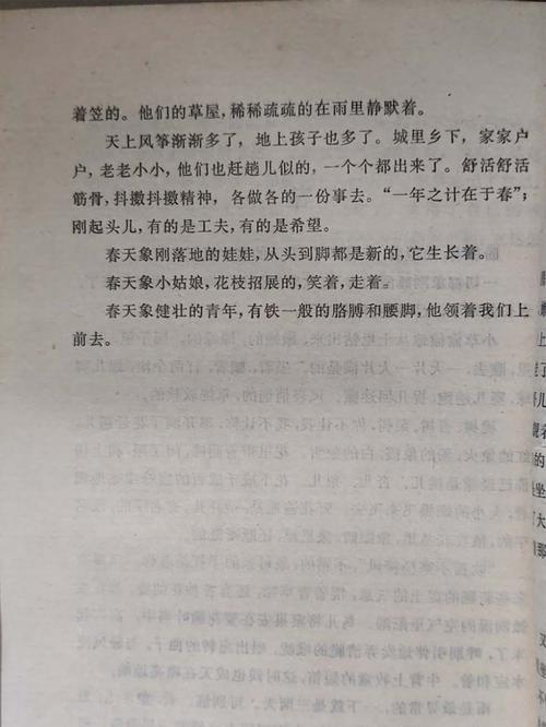 春天的记忆（一段时光，一串回忆，一生难忘）