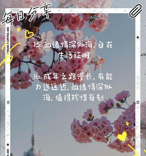 家庭的温暖（一段关于亲情的故事）