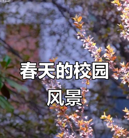 SpringonCampus