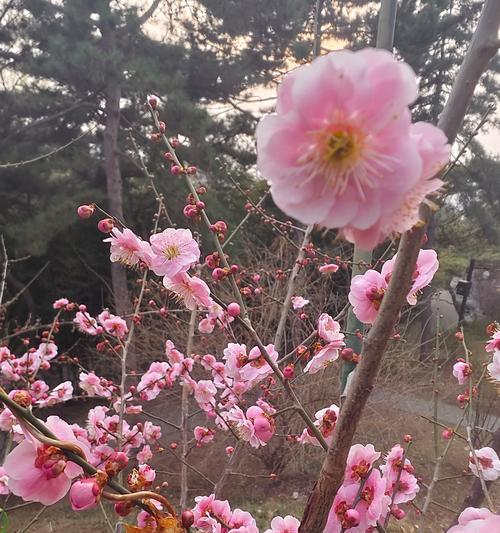 春天的那一抹灵动（春色满园，一切生机勃发）