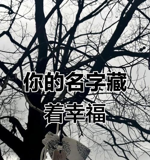 幸福密码