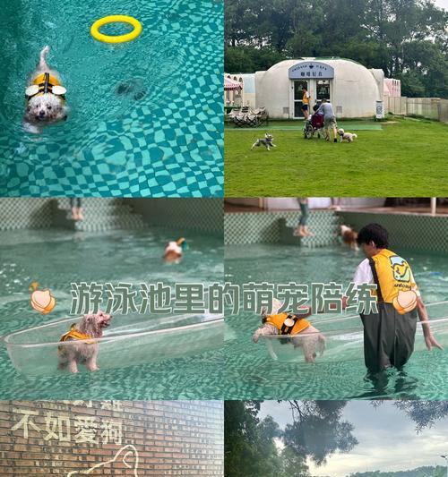 小玲的快乐嬉戏之旅