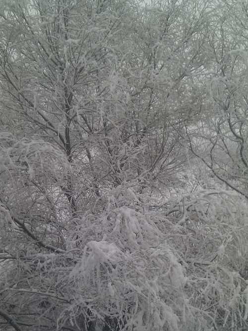 白雪精灵的传说（掌控冰雪的神秘力量）
