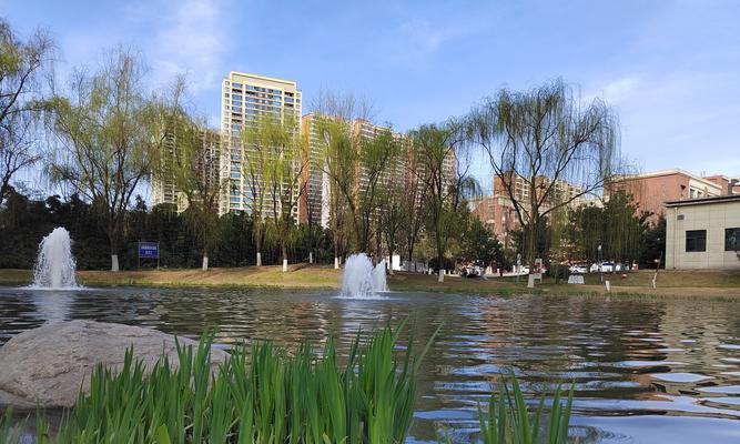 《生命的风景：一场人生之旅》